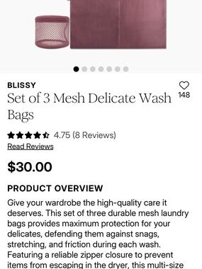 Bliss Mesh Delicate Wash Bags in Dusty Mauve - Set of 3